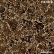 AM66001ȾW(wng)